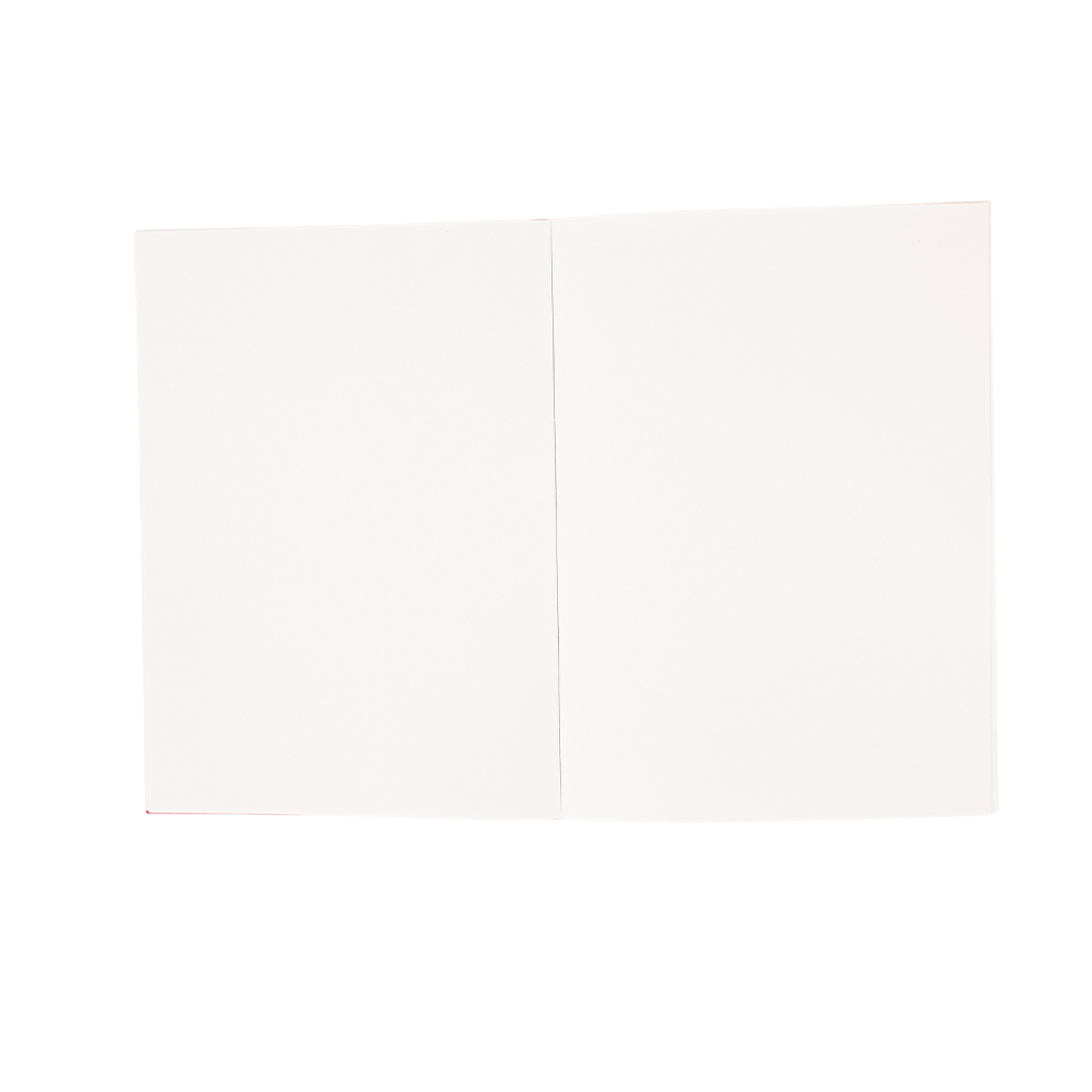 Anime Dungeon Meshi Delicious  - огляд і ціна Cosplay Prop Book